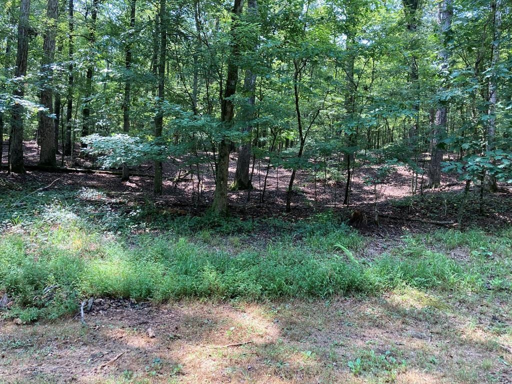 19.64 Acres, 0 Parks Mill Road, Buckhead, GA 30625 Land and Farm