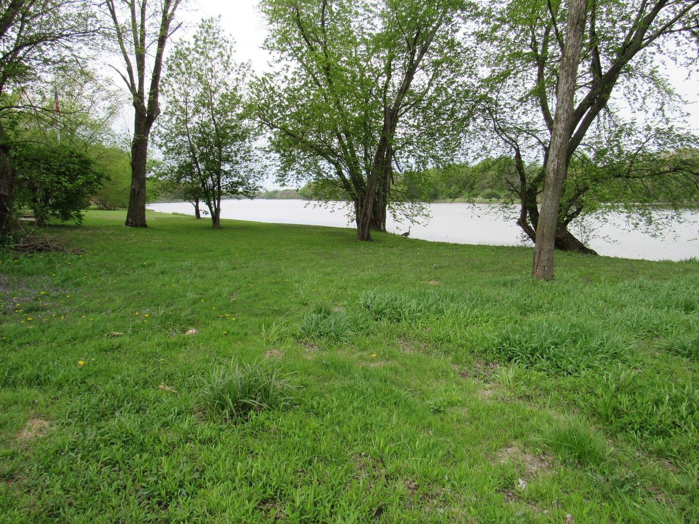 13 Acres, Lot 1 Widows Road, Wilmington, IL 60481 Land and Farm