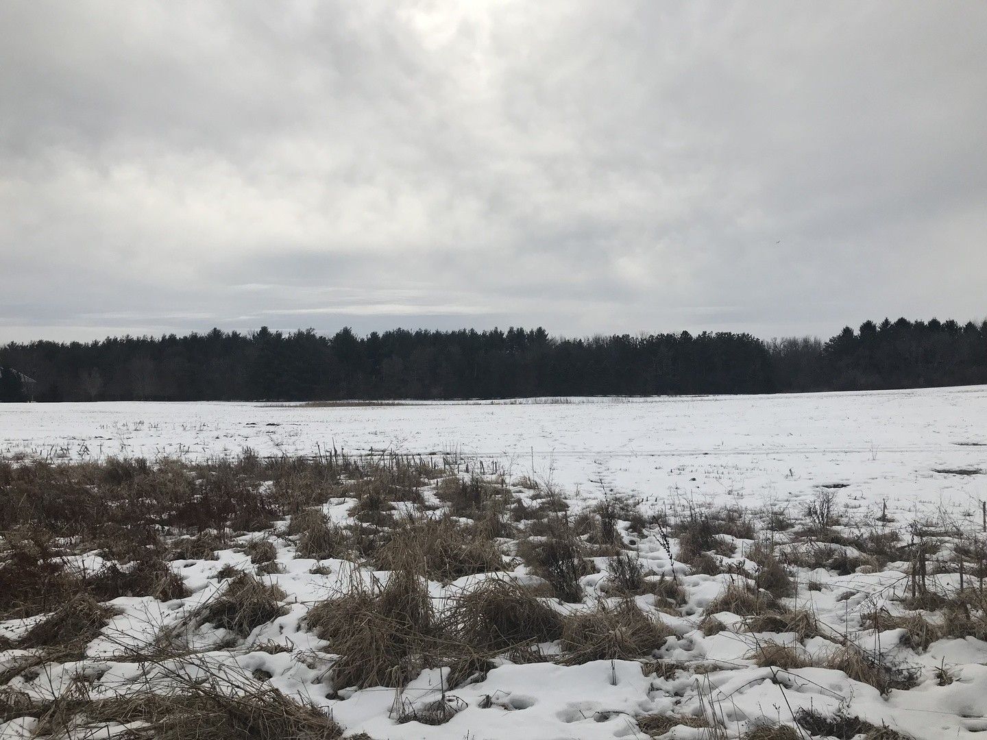 5 Acres, Lot 2 PRINGLE Drive, Marengo, IL 60152 Land and Farm