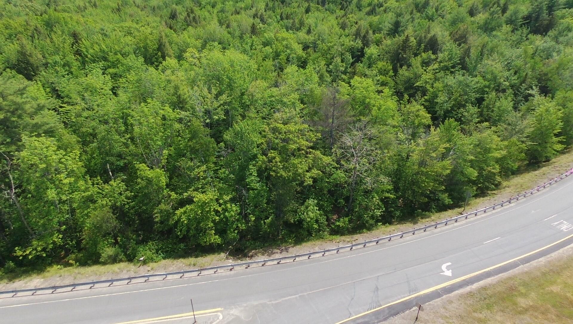 10.49 Acres, M16 L012 Route 4, Wilton, ME 04294 Land and Farm