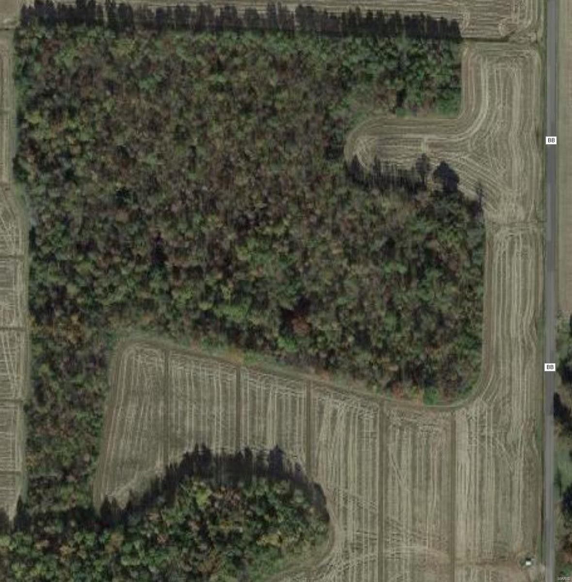 40 Acres, 0 West of Hwy BB, Neelyville, MO 63954 Land and Farm