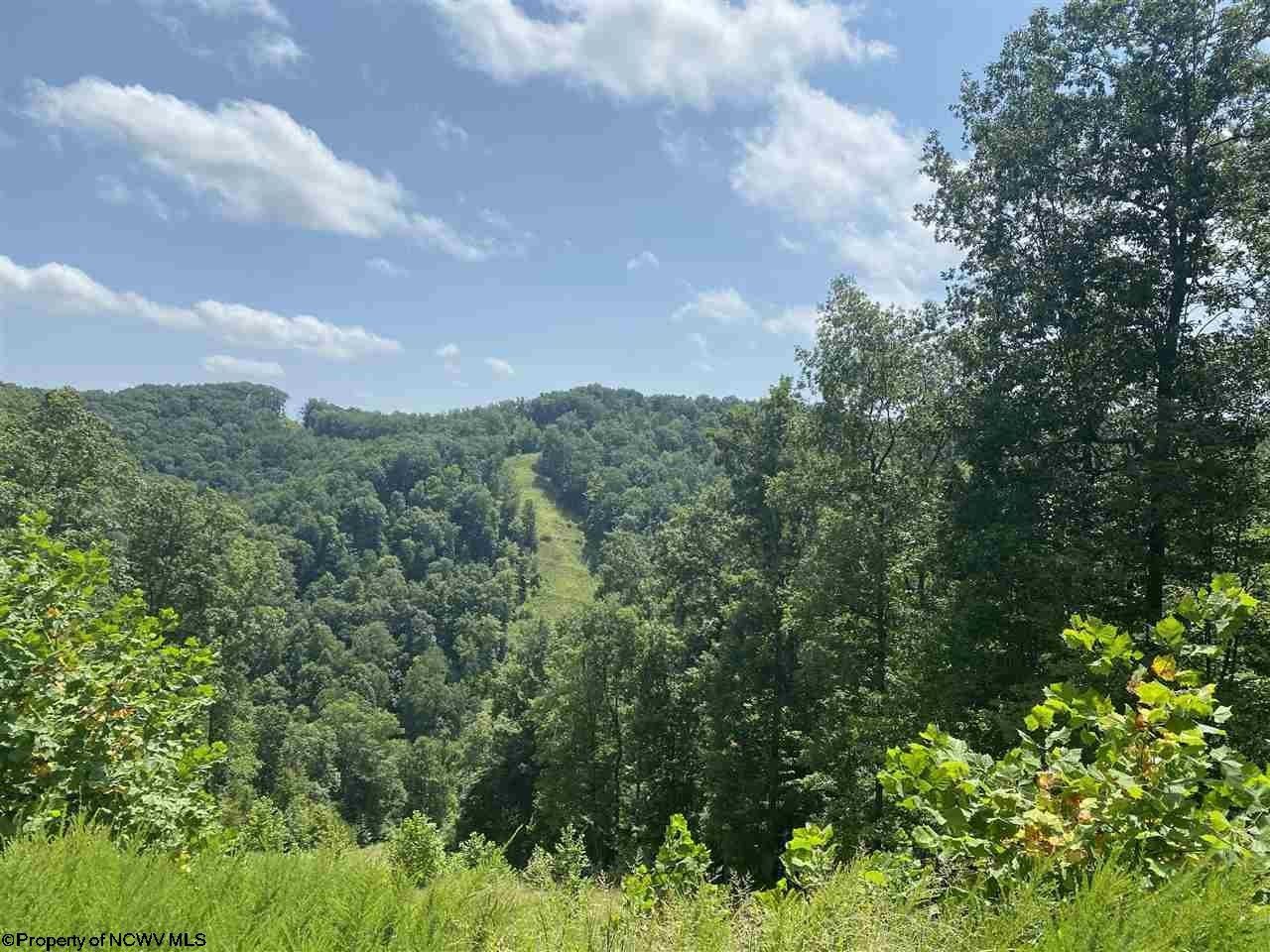 69.75 Acres, TBD Greenbrier Road, Salem, WV 26426 Land and Farm