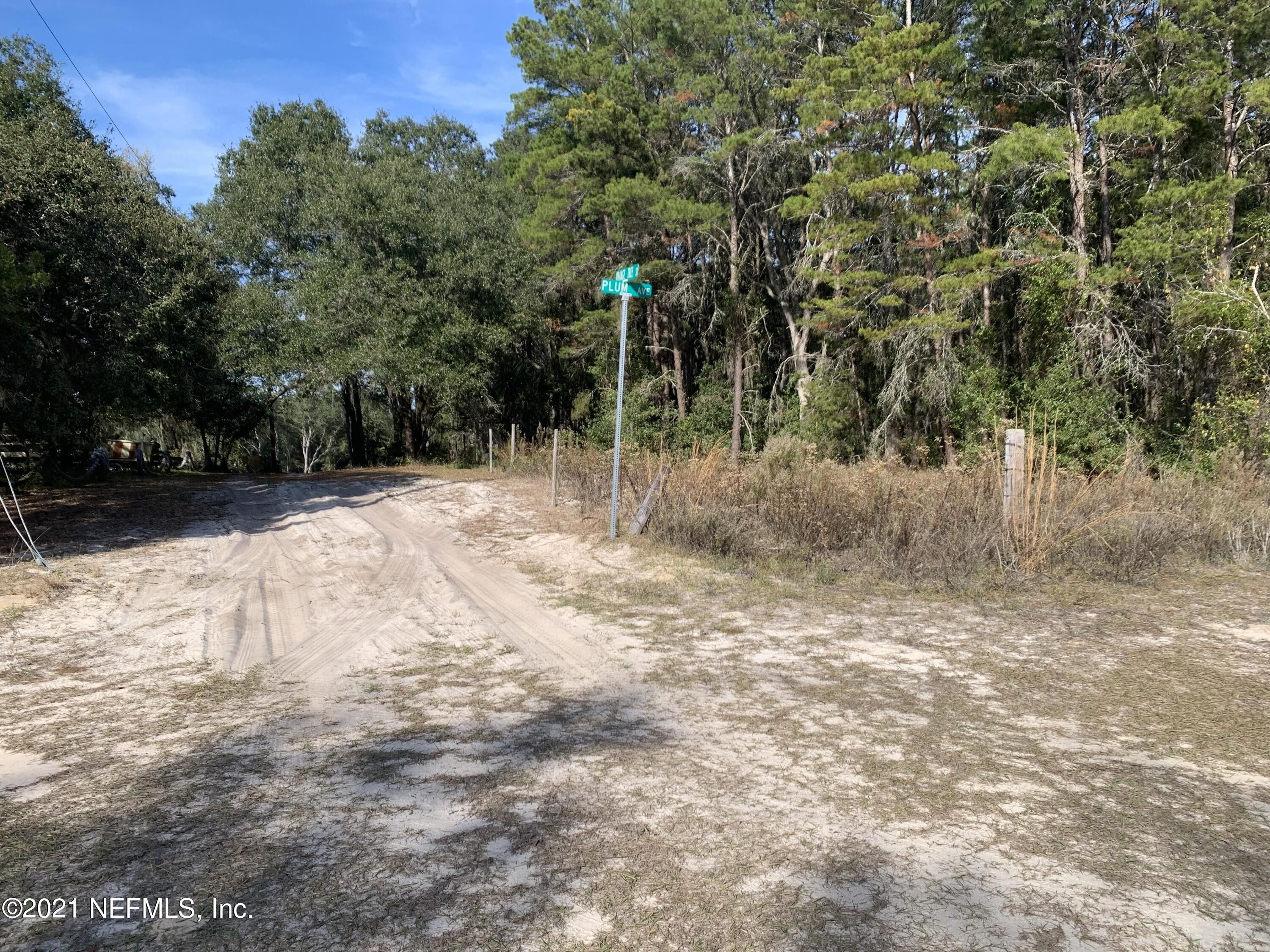 11 Acres, 0 ORANGE TREE ST, Pomona Park, FL 32181 Land and Farm