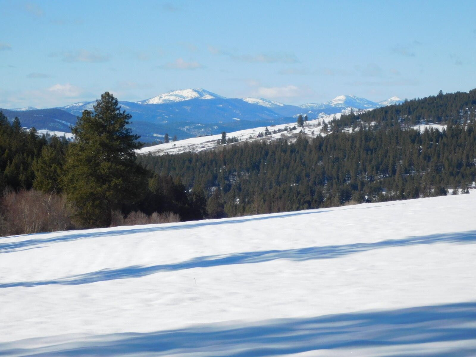 15 Acres, 3205 ANDERSON RD, Gifford, WA 99131 Land and Farm