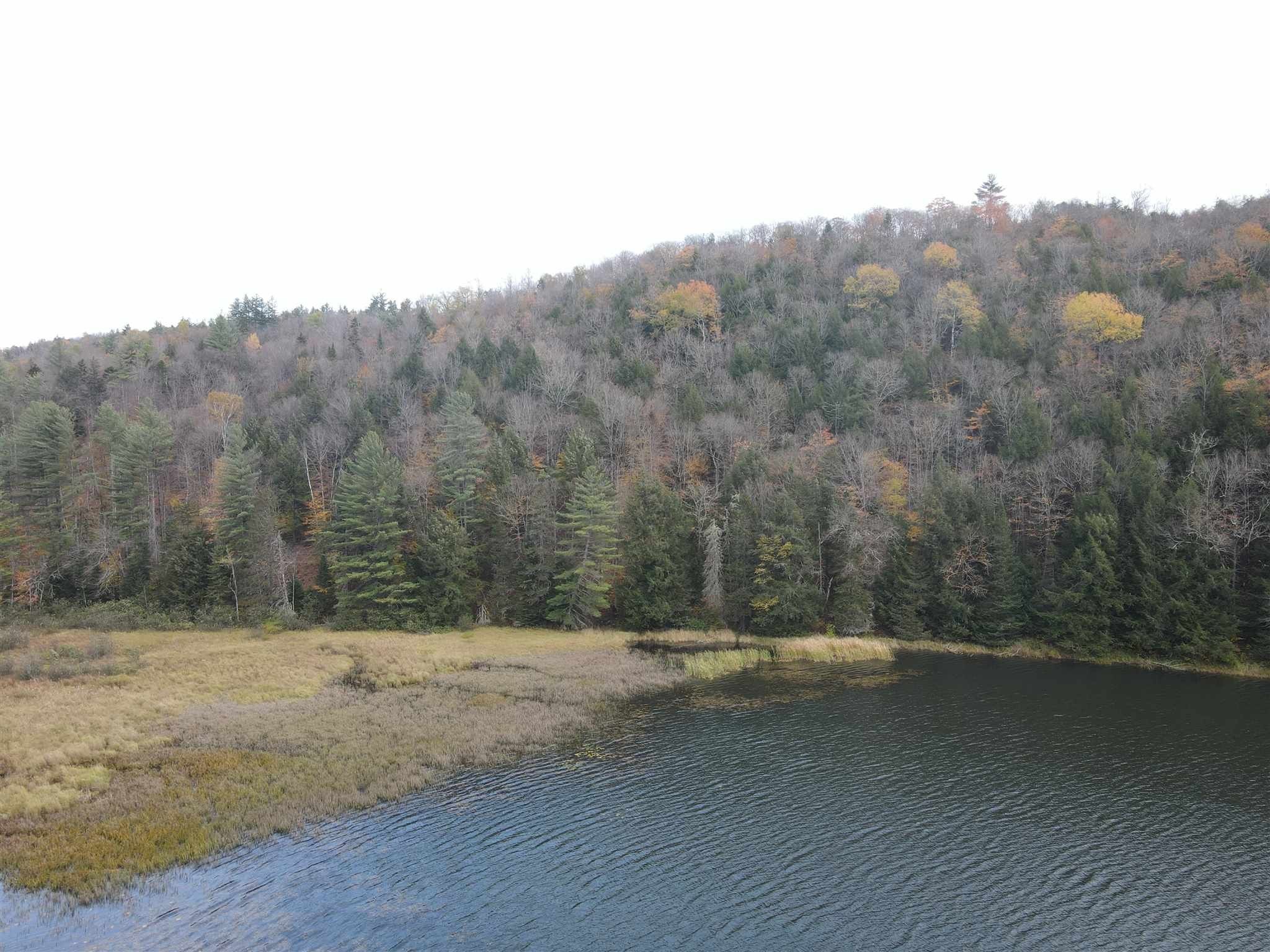 39 Acres, 00 Vt. Route 14, Greensboro, VT 05841 Land and Farm