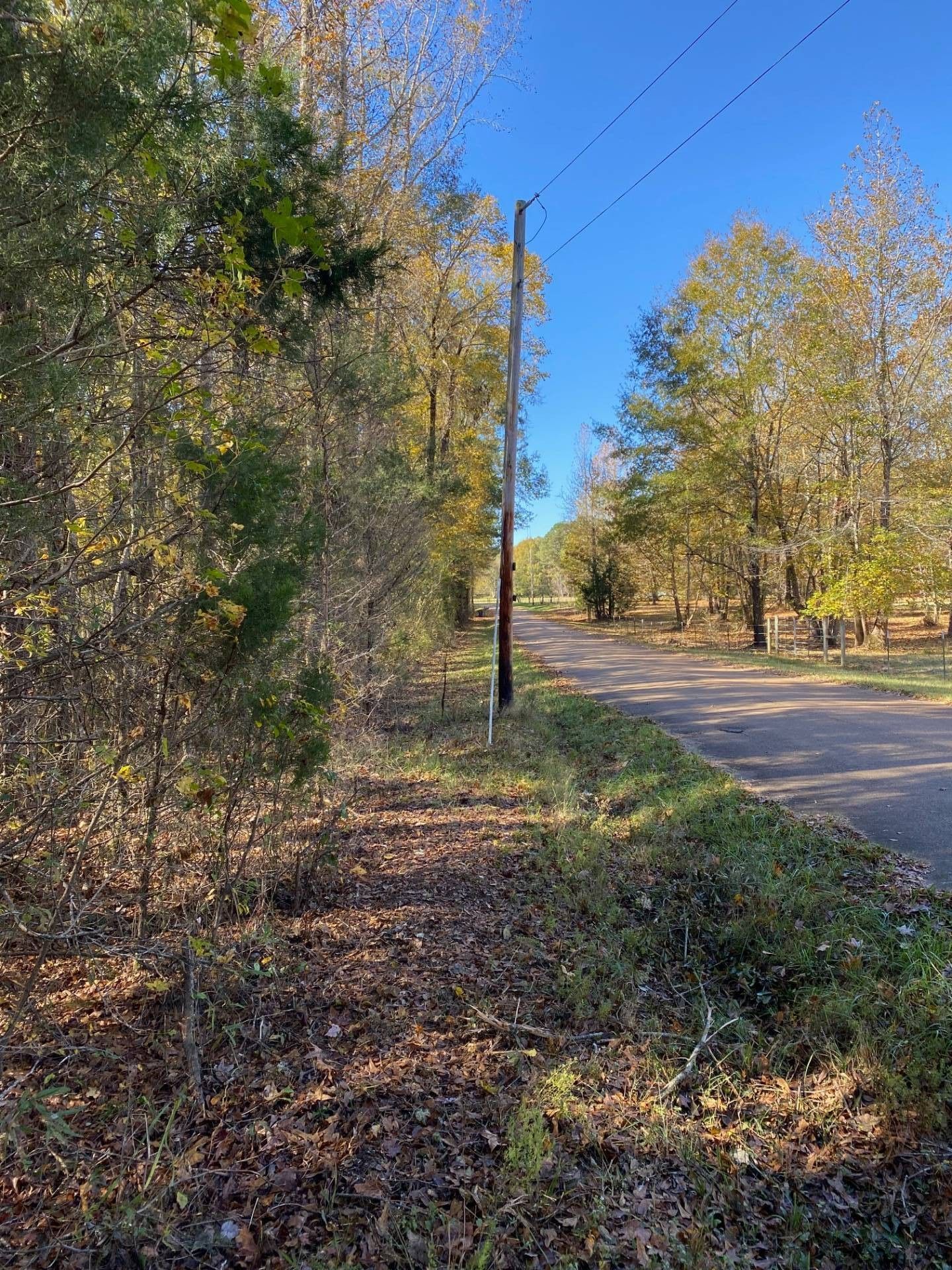 Allenwood Dr., Canton, MS 39046 MLS 11037358 Land and Farm