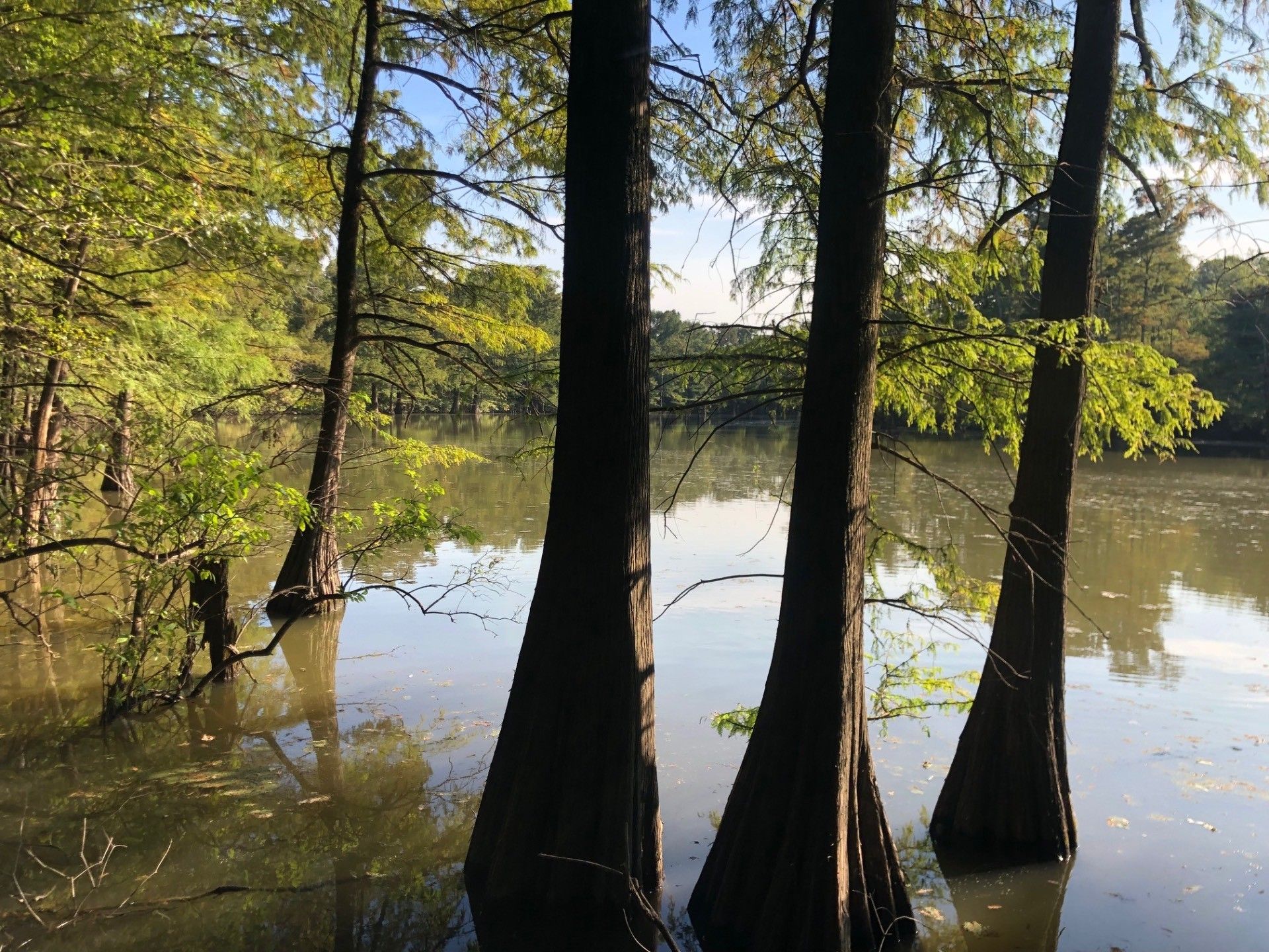 57 Acres, portia bay, Portia, AR 72433 Land and Farm