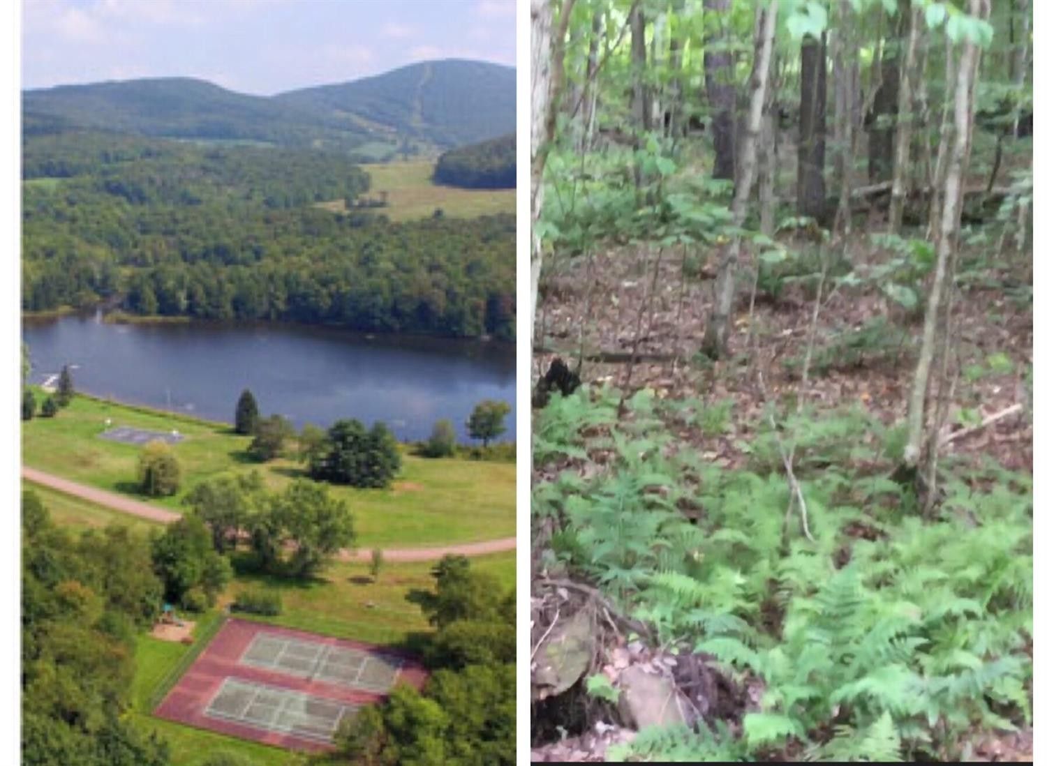 7.1 Acres, 0 Tunis Lake Road, Andes, NY 13731 Land and Farm