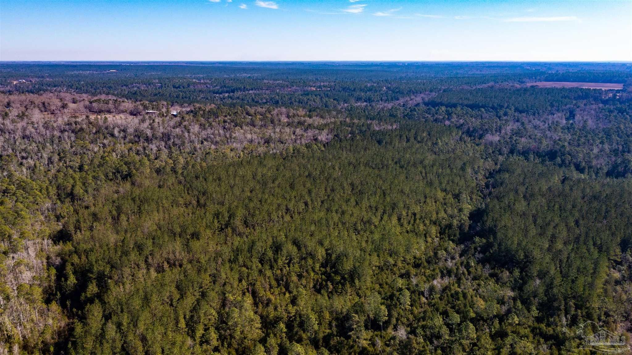 66.79 Acres, 000 Quintette Rd, Pace, FL 32571 Land and Farm