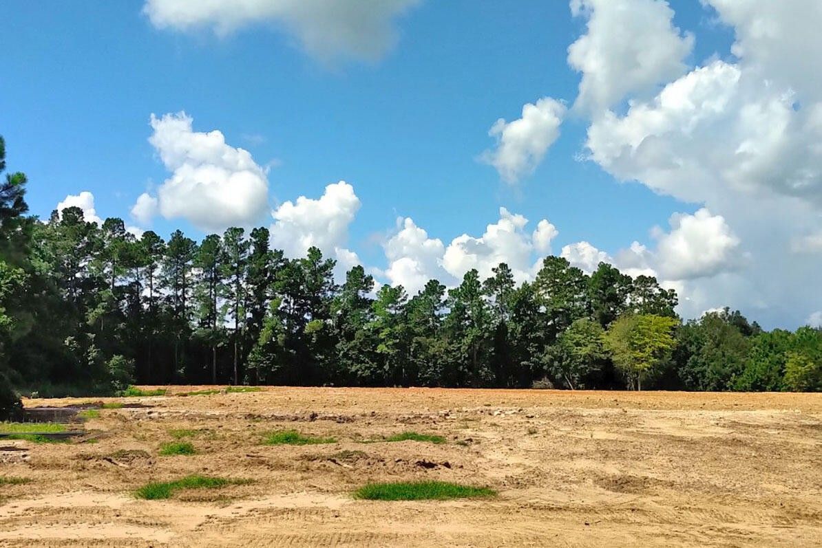 194.9 Acres, 0 Sc125 Highway, Allendale, SC 29810 Land and Farm