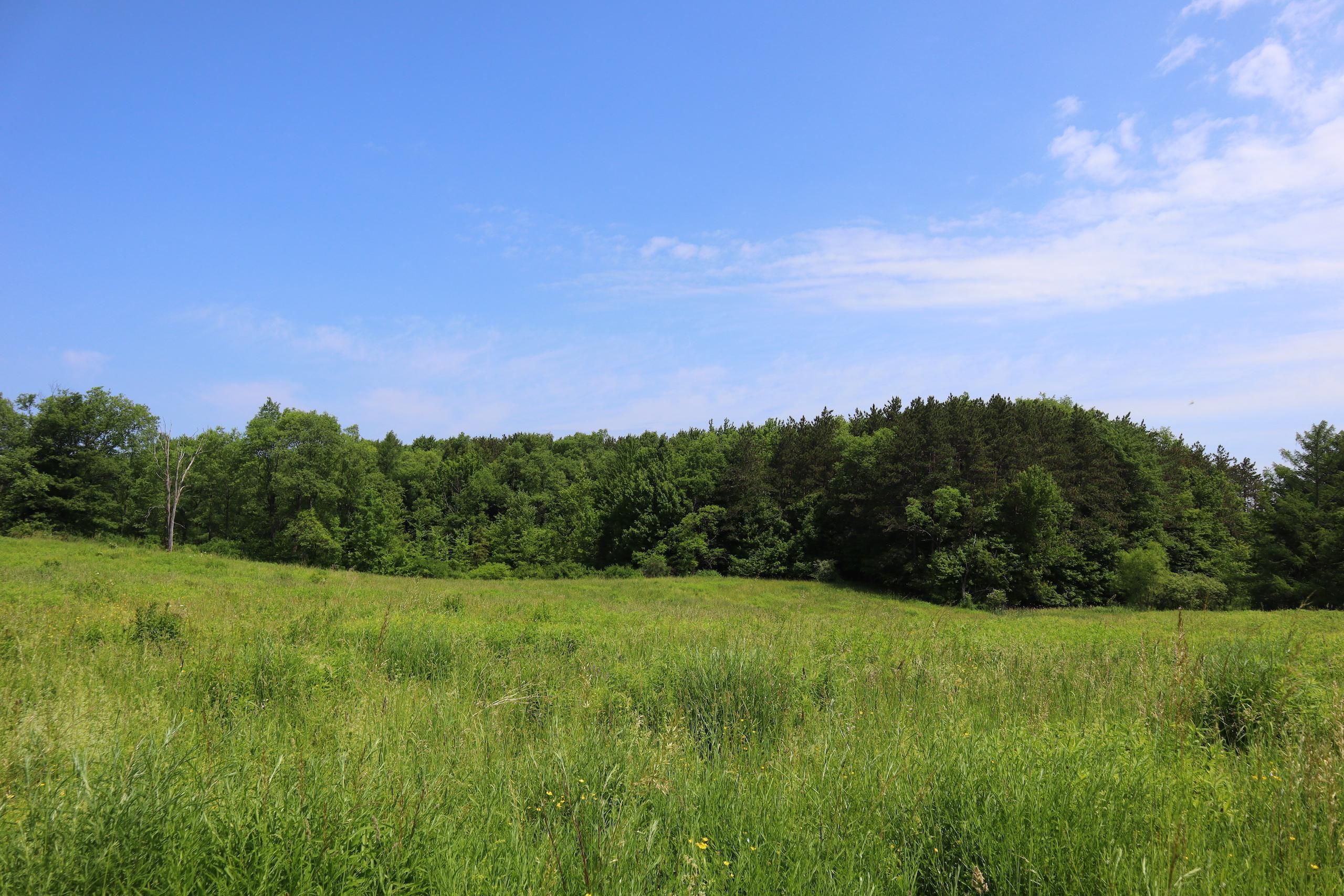 19 Acres, County Route 39, LotWP002, Springville, NY 14141 Land and Farm