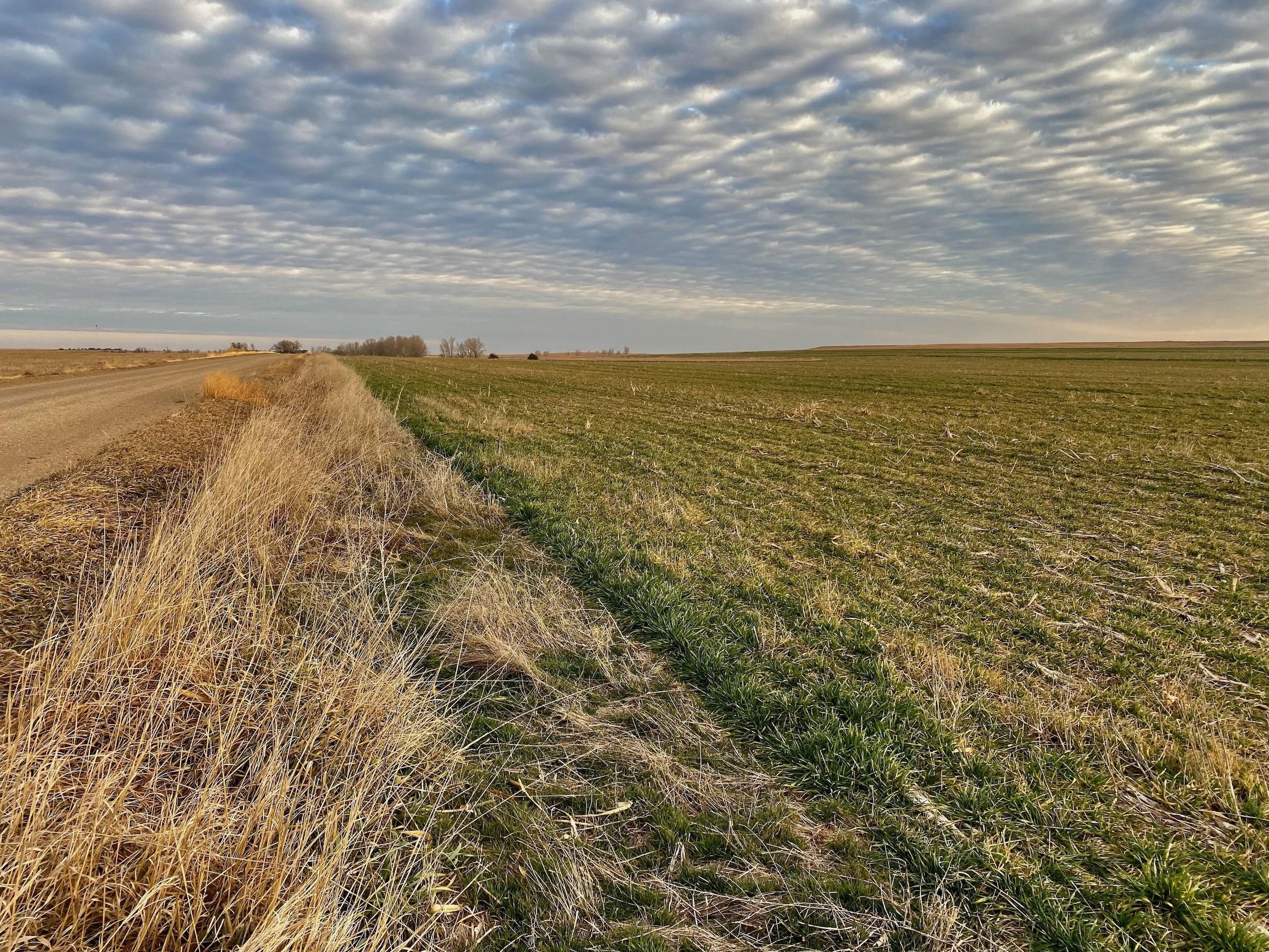 County Road 210 Lot Wp001, Rush Center, KS 67575 Land and Farm