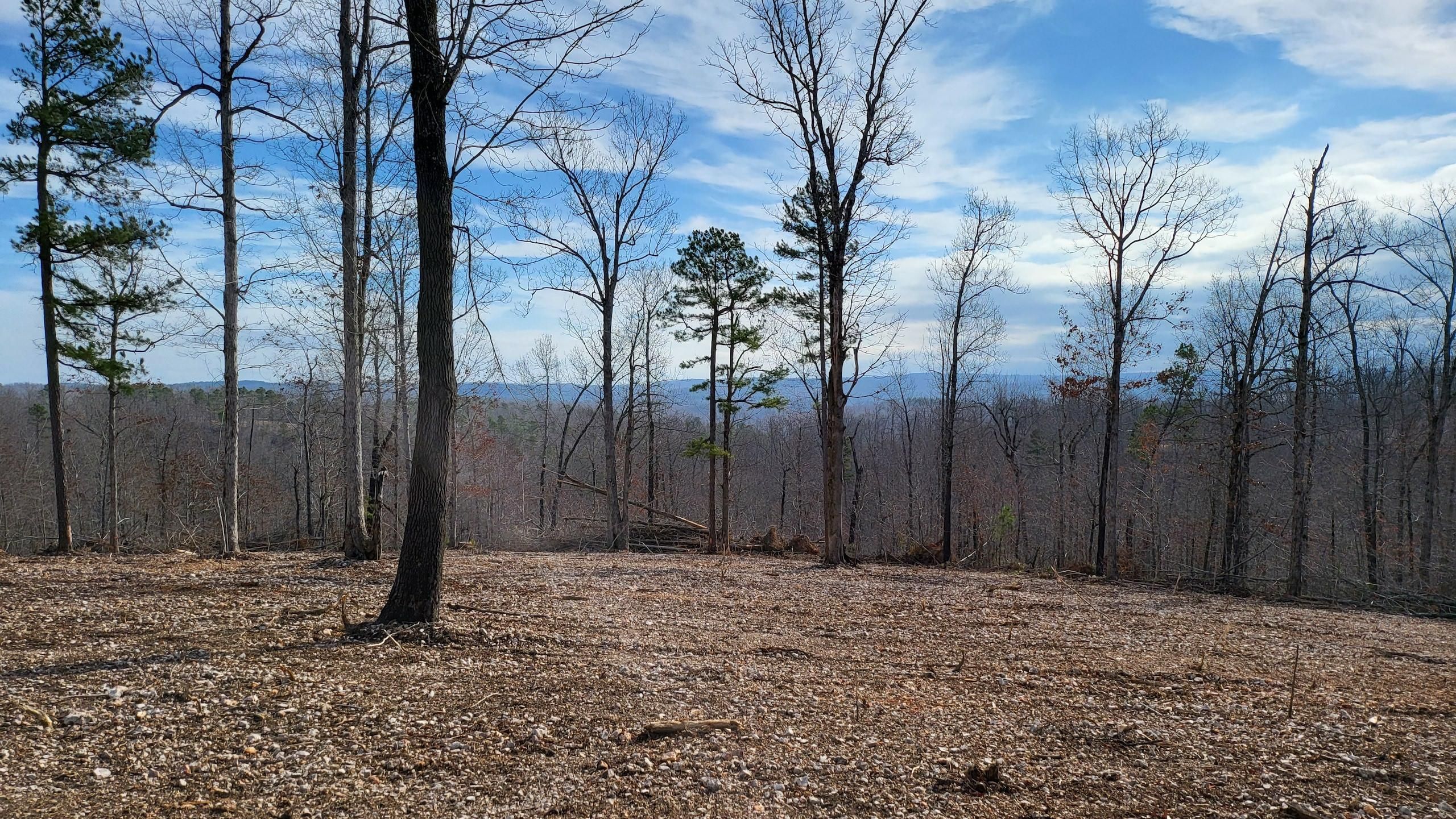 CR 156 LotWP008, Cozahome, AR 72639 Land and Farm