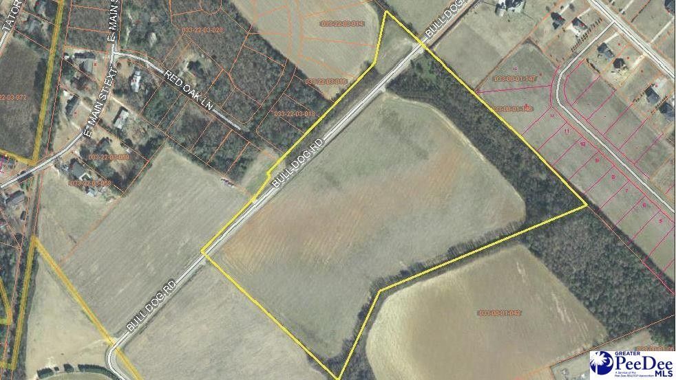 33.62 Acres, TBD Bulldog Road, SC 29512 Land and Farm