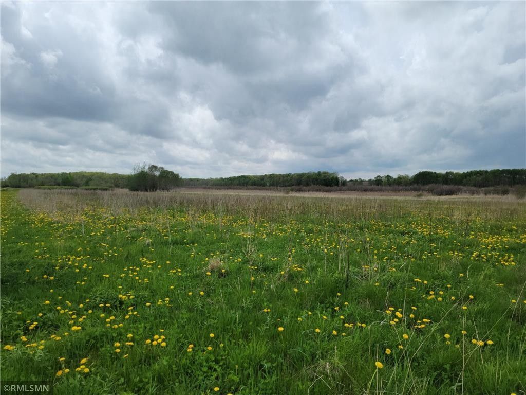 40 Acres, Xxx 290th Street, Browerville, MN 56438 Land and Farm