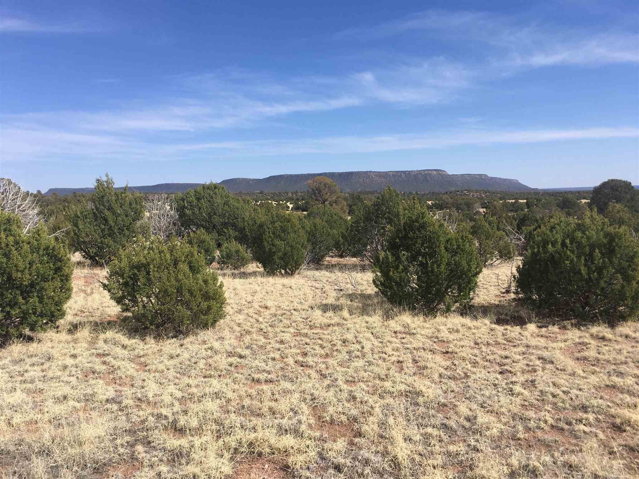 10 Acres, TBD Flamingo Rd, Ribera, NM 87560 Land and Farm