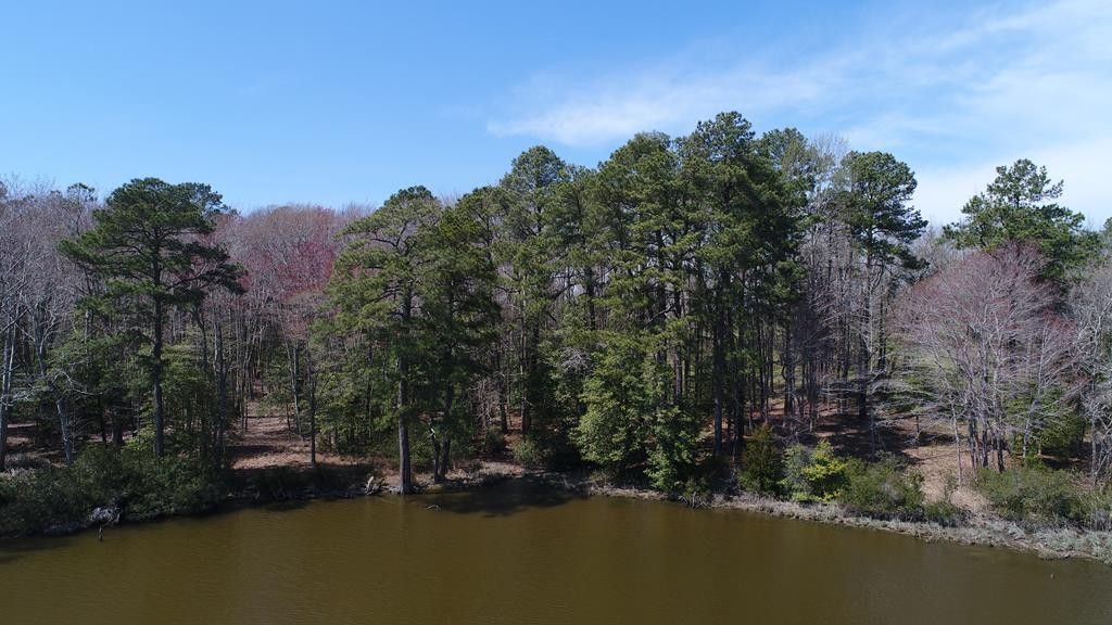 4.21 Acres, Lot 1 TERRAPIN STATION RD, Belle Haven, VA 23306 Land and