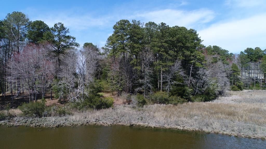 Lot 3 TERRAPIN STATION RD, Belle Haven, VA 23306 MLS 49531 Land