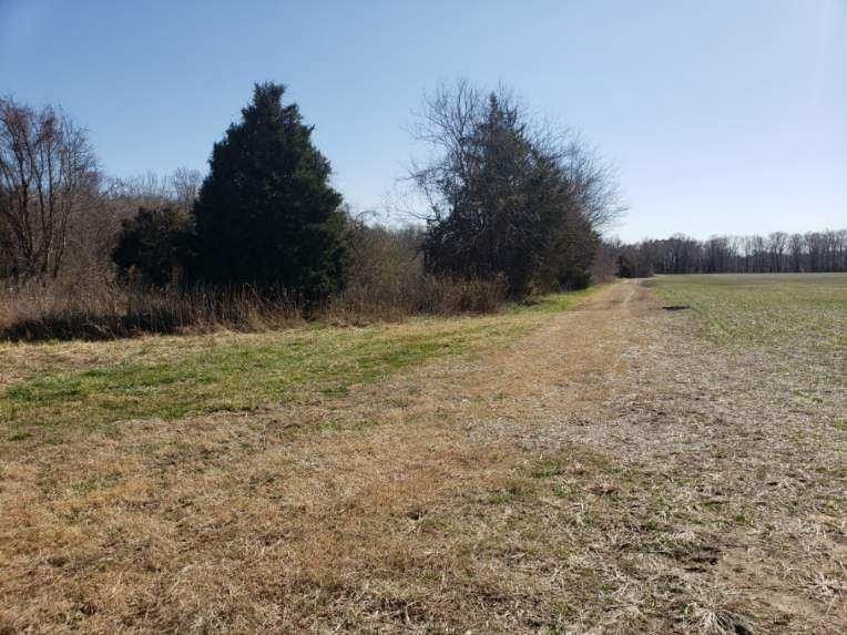9.61 Acres, Godwin Blvd, Suffolk, VA 23434 Land and Farm