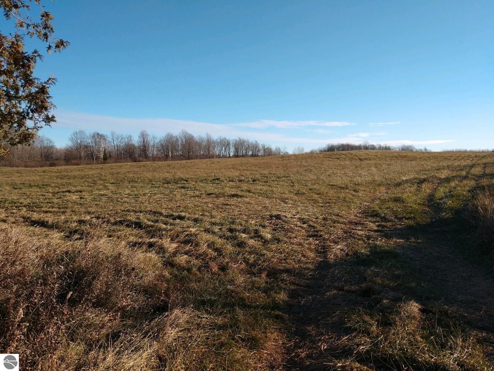 80 Acres, 00 Clouse Road, Glennie, MI 48737 Land and Farm