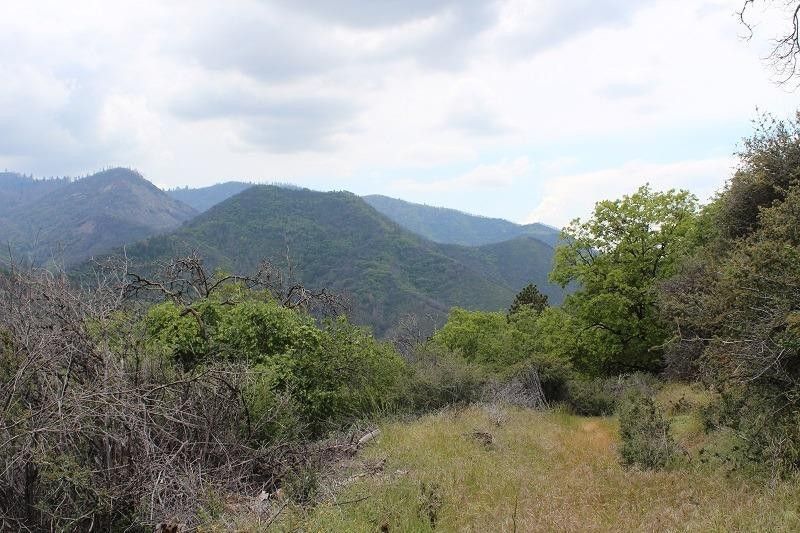 5 Acres, Sunset Drive, Springville, CA 93265 Land and Farm