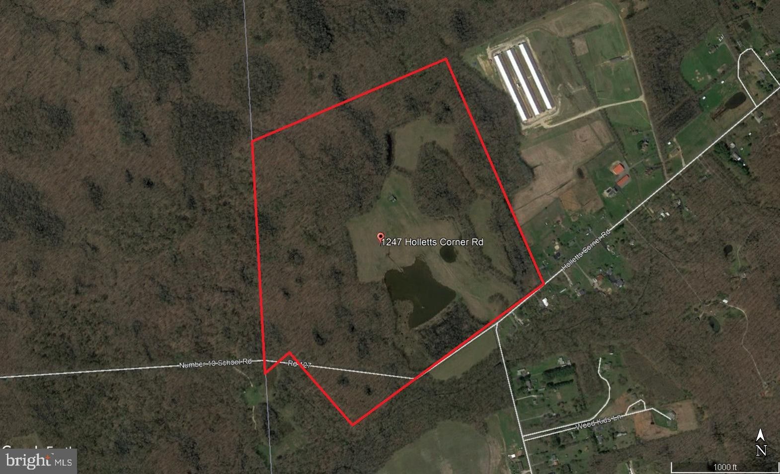 126 Acres, 1247 HOLLETTS CORNER ROAD, Clayton, DE 19938 Land and Farm