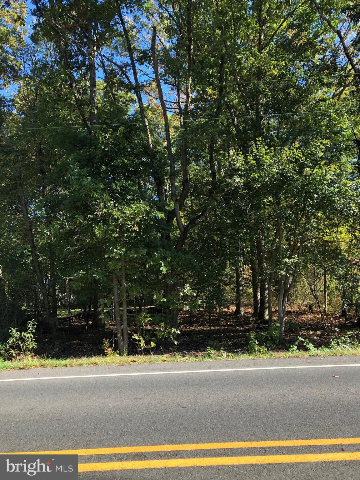 0.46 Acres, 0 PITMAN DOWNER ROAD, Williamstown, NJ 08094 Land and Farm