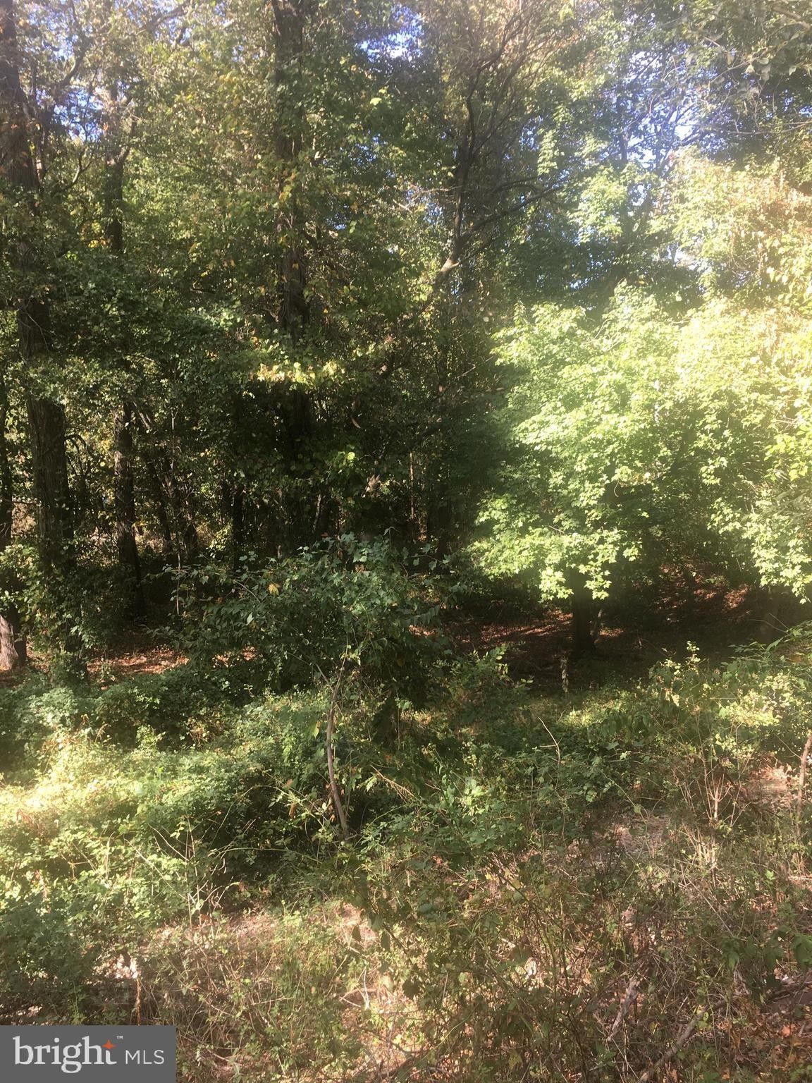 0.5 Acres, 98 TREETOP WAY, Oakland, MD 21550 Land and Farm