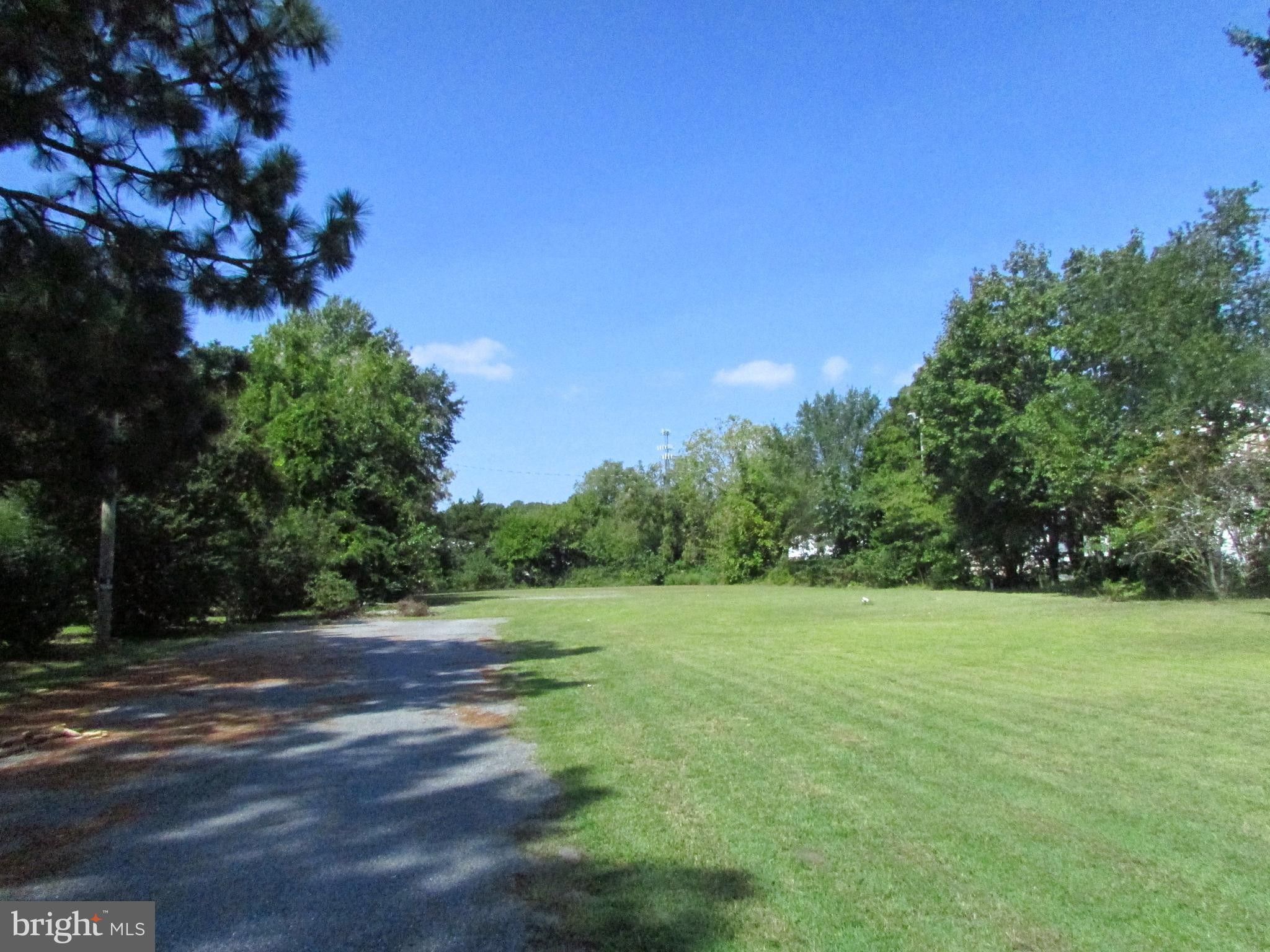 1 Acres, 219 WASHINGTON STREET, Millsboro, DE 19966 Land and Farm