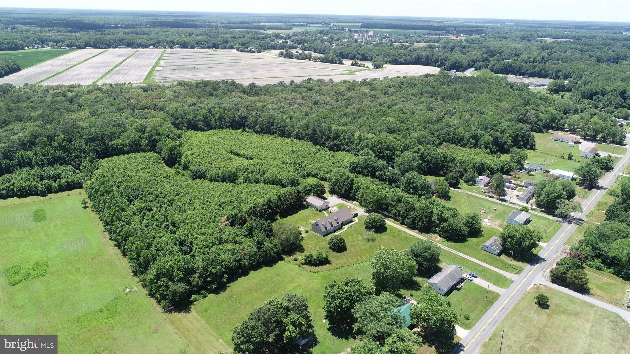 23 Acres, 30410 FRANKFORD SCHOOL ROAD, Frankford, DE 19945 Land and Farm