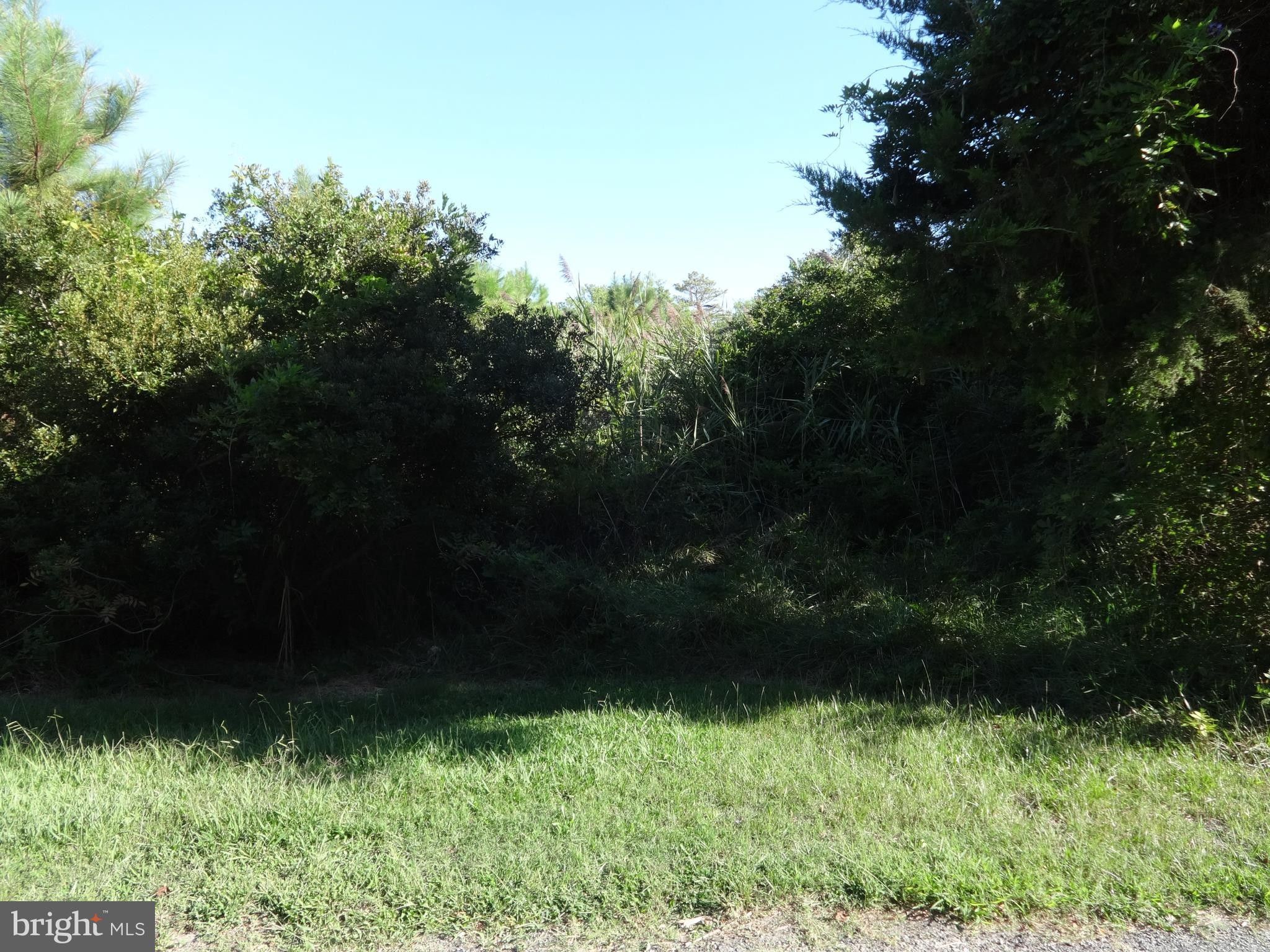 1 Acres, 7500 LOWER HILL, Westover, MD 21871 Land and Farm