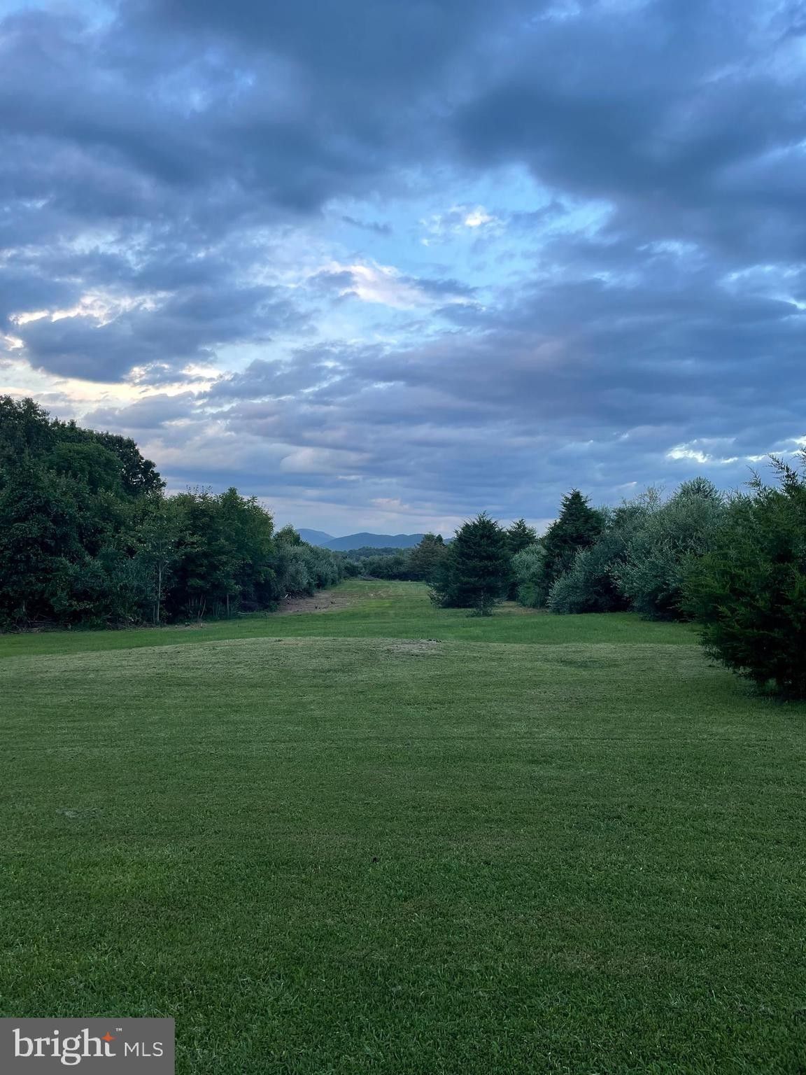 5.24 Acres, 0 THREE MILE MOUNTAIN LANE, Mount Jackson, VA 22842 Land