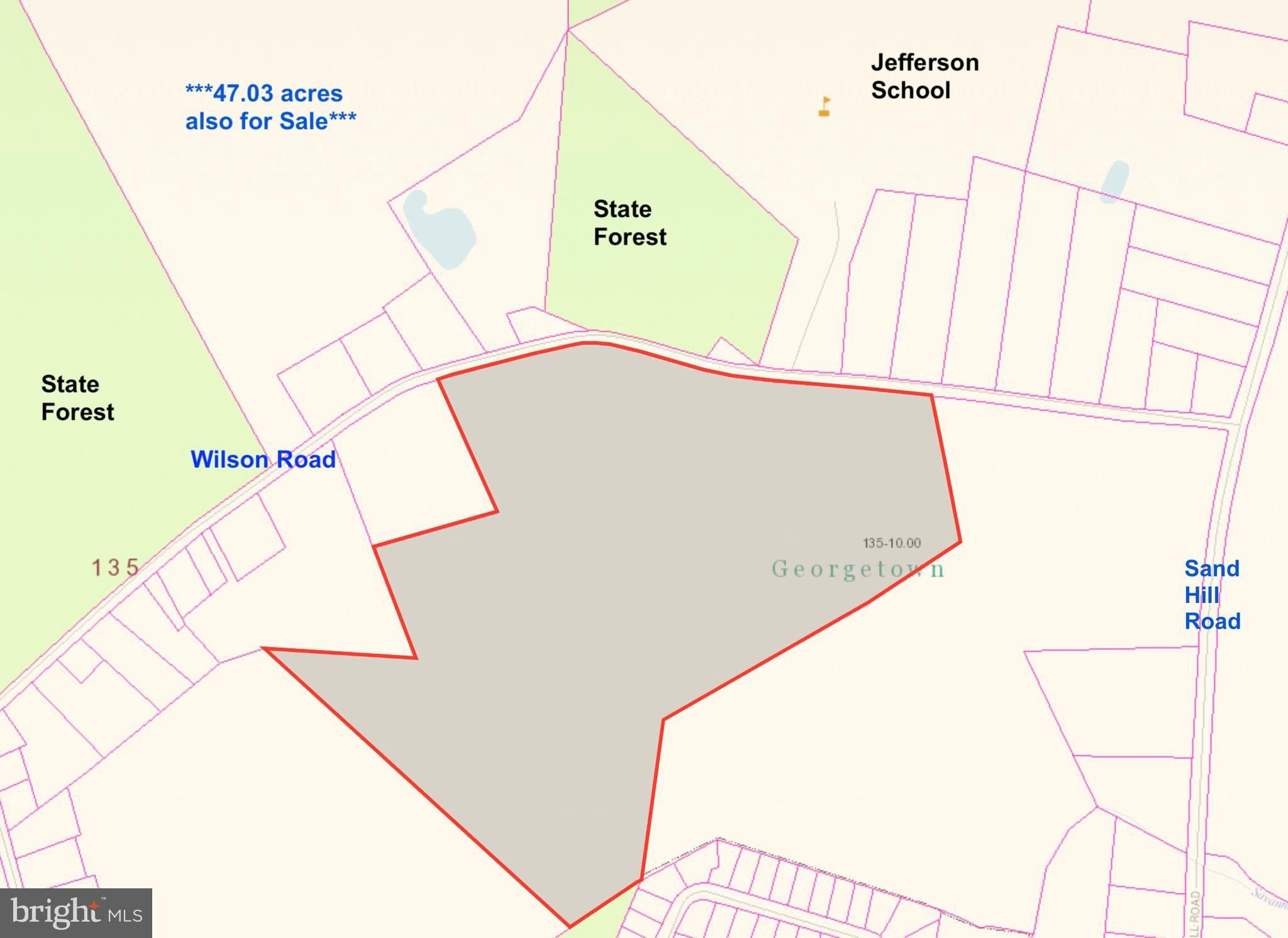 21114 WILSON ROAD, DE 19947 MLS DESU154028 Land and Farm