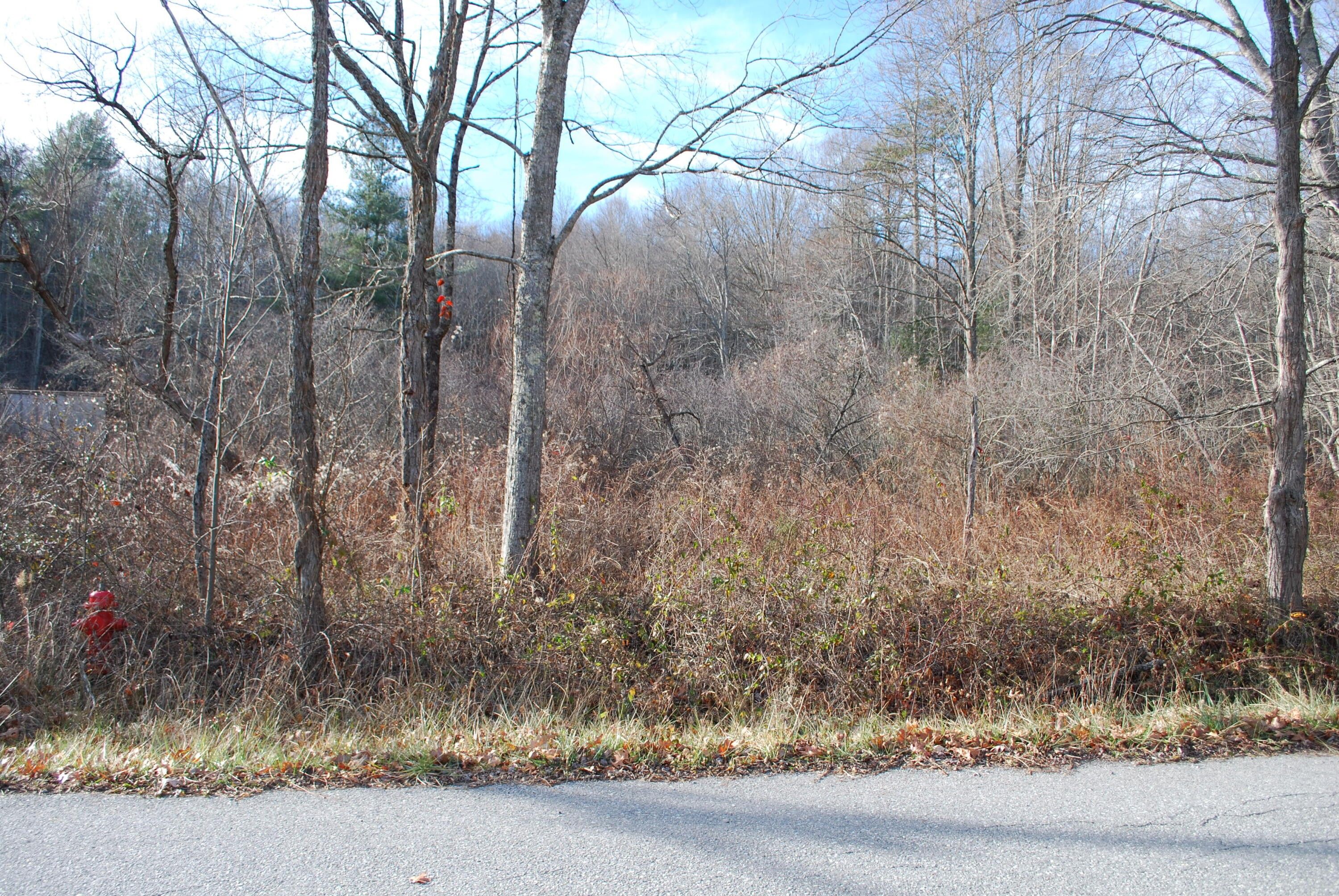 5 Acres, Tbd Redwine Road, Wise, VA 24293 Land and Farm