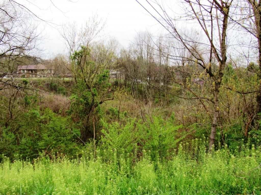 2.77 Acres, Tbd Whispering Hills Dr/Sedgefield, Kingsport, TN 37660
