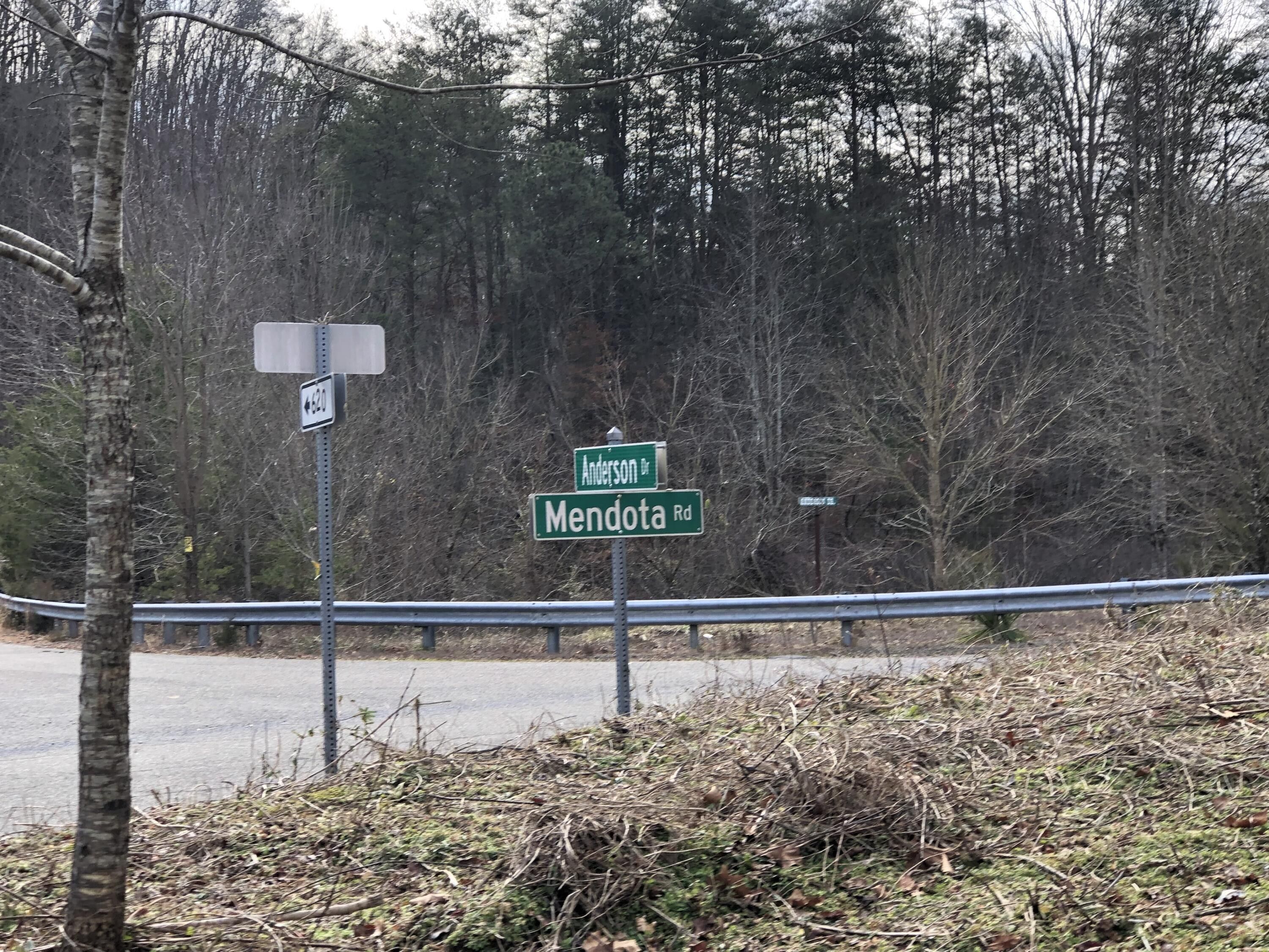 60 Acres, Tbd Mendota Road, Mendota, VA 24270 Land and Farm