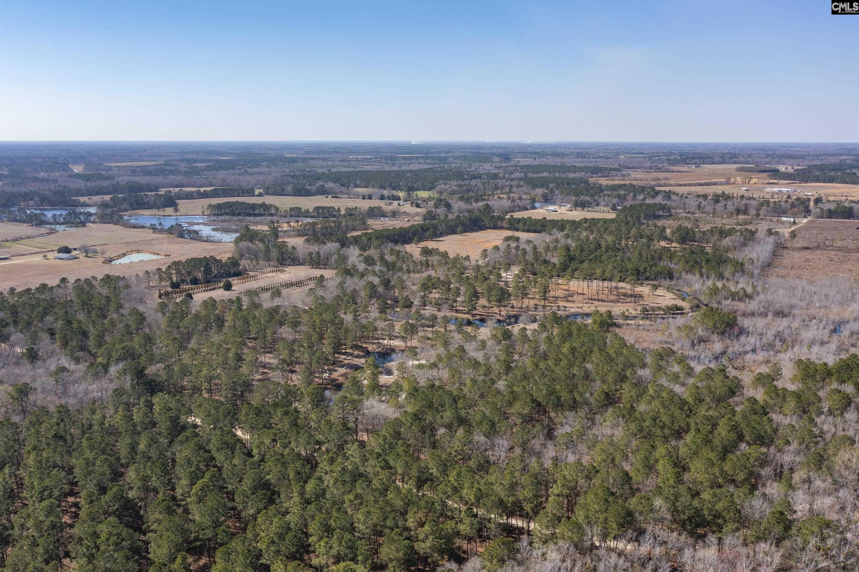 72.41 Acres, 0 Ward Road, Manning, SC 29102 Land and Farm