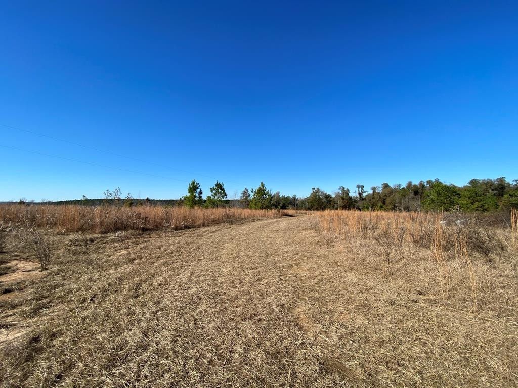 39 Acres, 0 STORY MILL Road, Keysville, GA 30816 Land and Farm