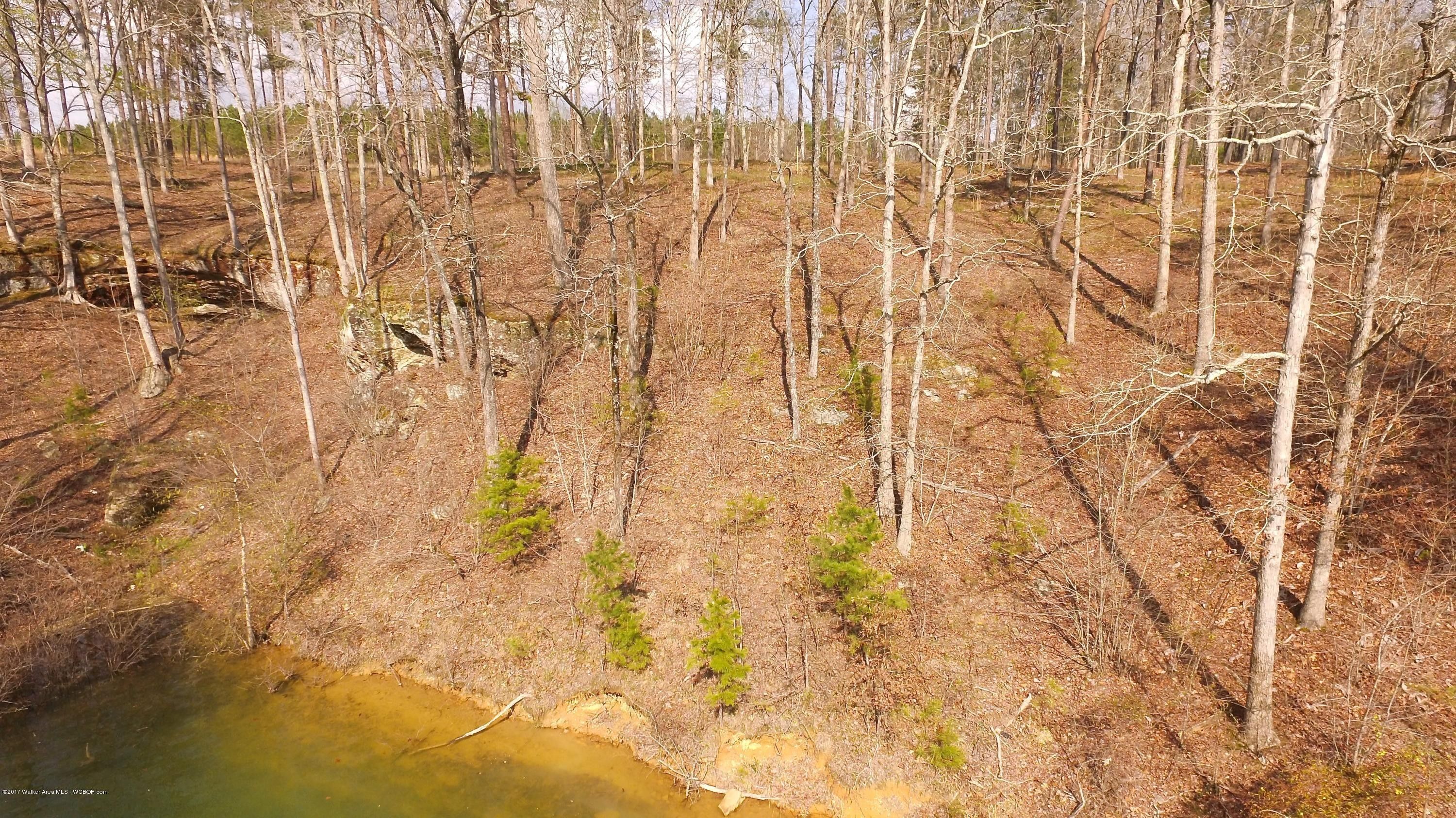 LOT 9 COUNTY ROAD 3914, Arley, AL 35540 MLS 21864 Land and Farm