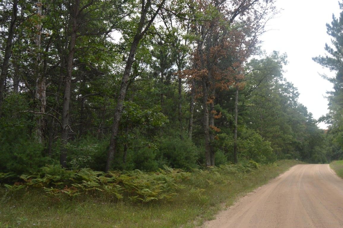 20 Acres, 0 Weaver Road, Comins, MI 48619 Land and Farm