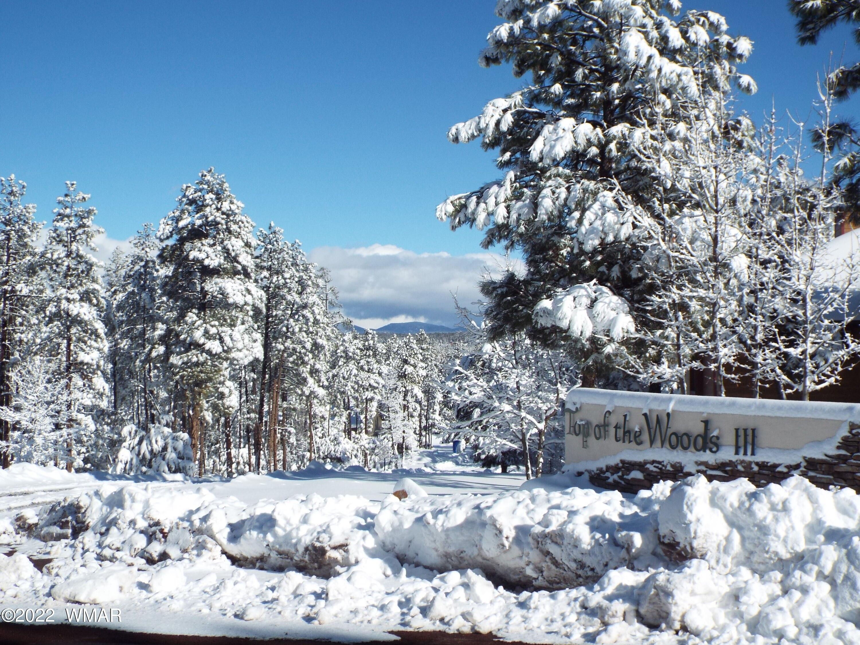 0.25 Acres, 379 W Redwood Lane, AZ 85935 Land and Farm