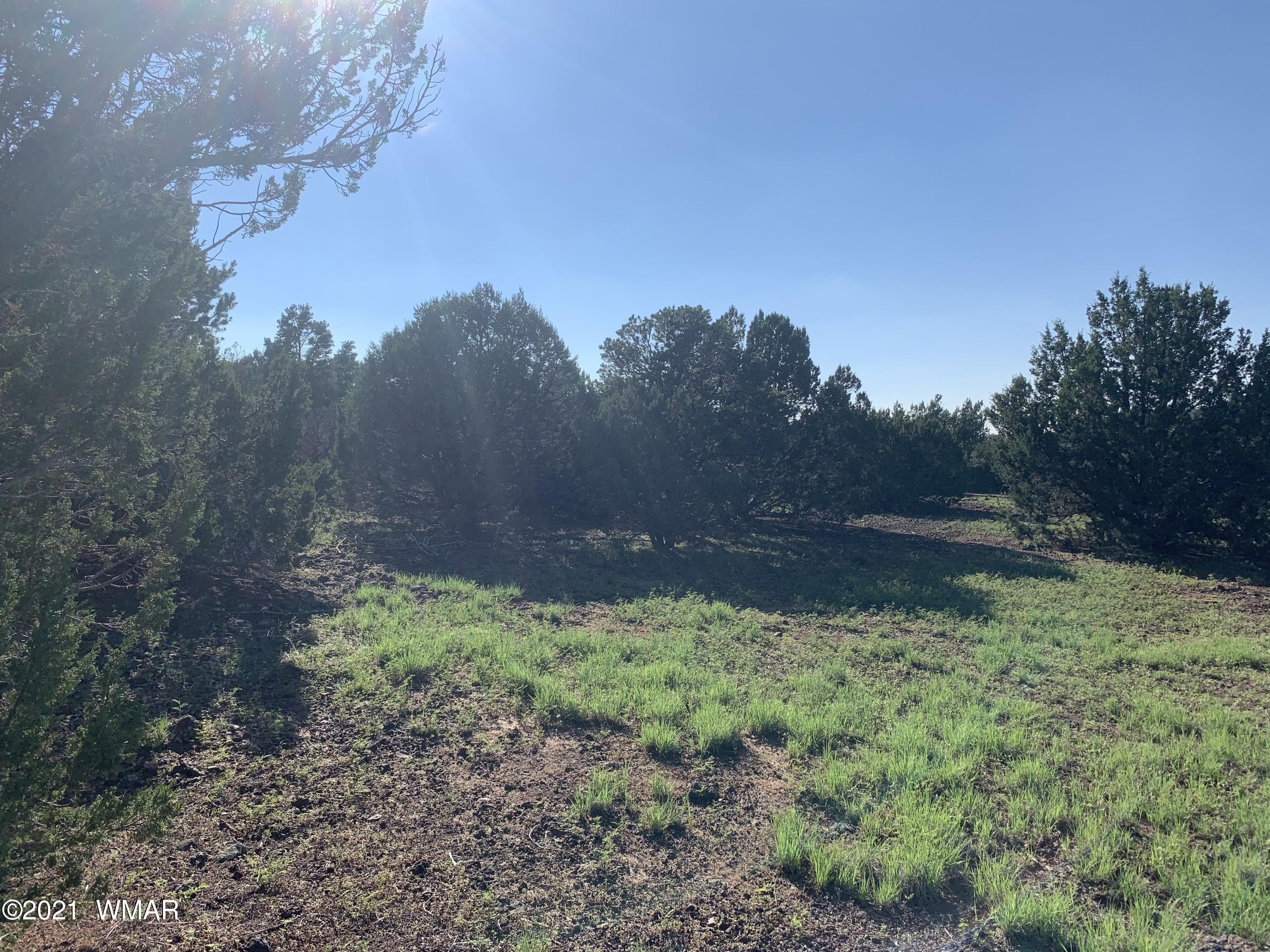 5 Acres, 99 CR 3168, Vernon, AZ 85940 Land and Farm