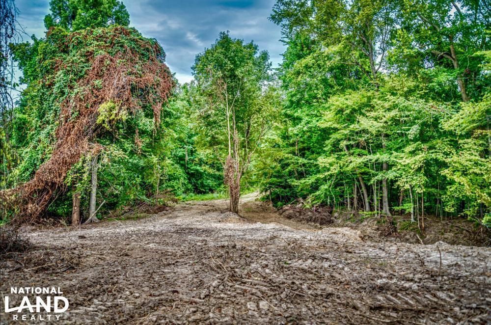 100 Russellville Rd, Satartia, MS 39162 Land and Farm