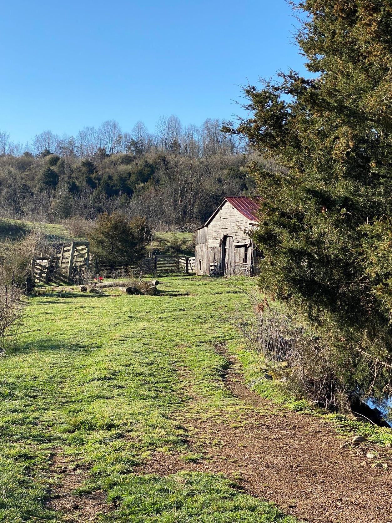 Chestnut Ridge Rd, Sneedville, TN 37869 MLS 606182 Land and Farm