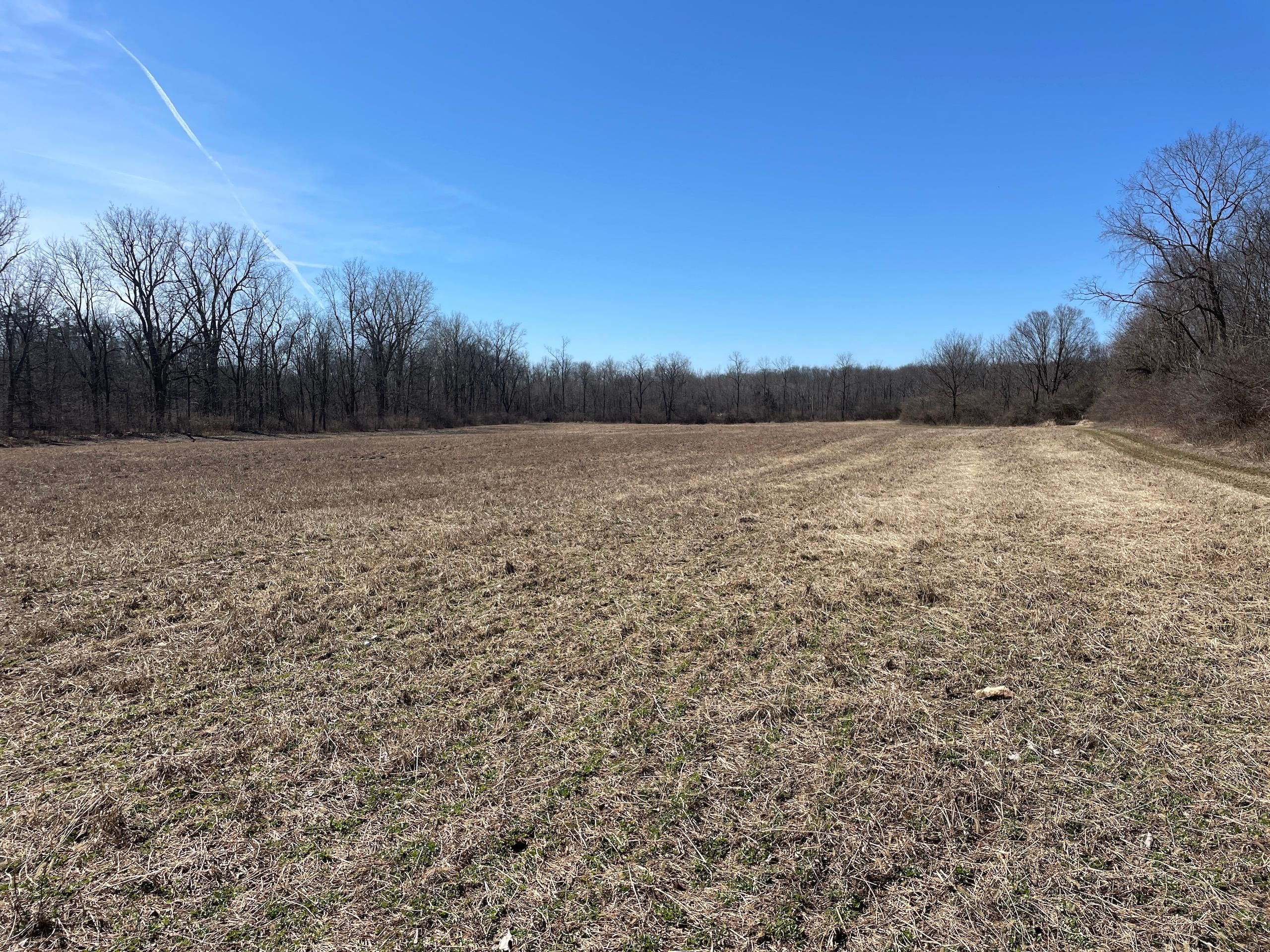 County Road 49, LOTWP001, Bellefontaine, OH 43311 Land and Farm