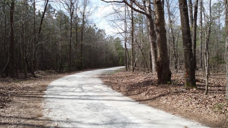 37 Acres, Buzhardt Road, Pomaria, SC 29126 Land and Farm