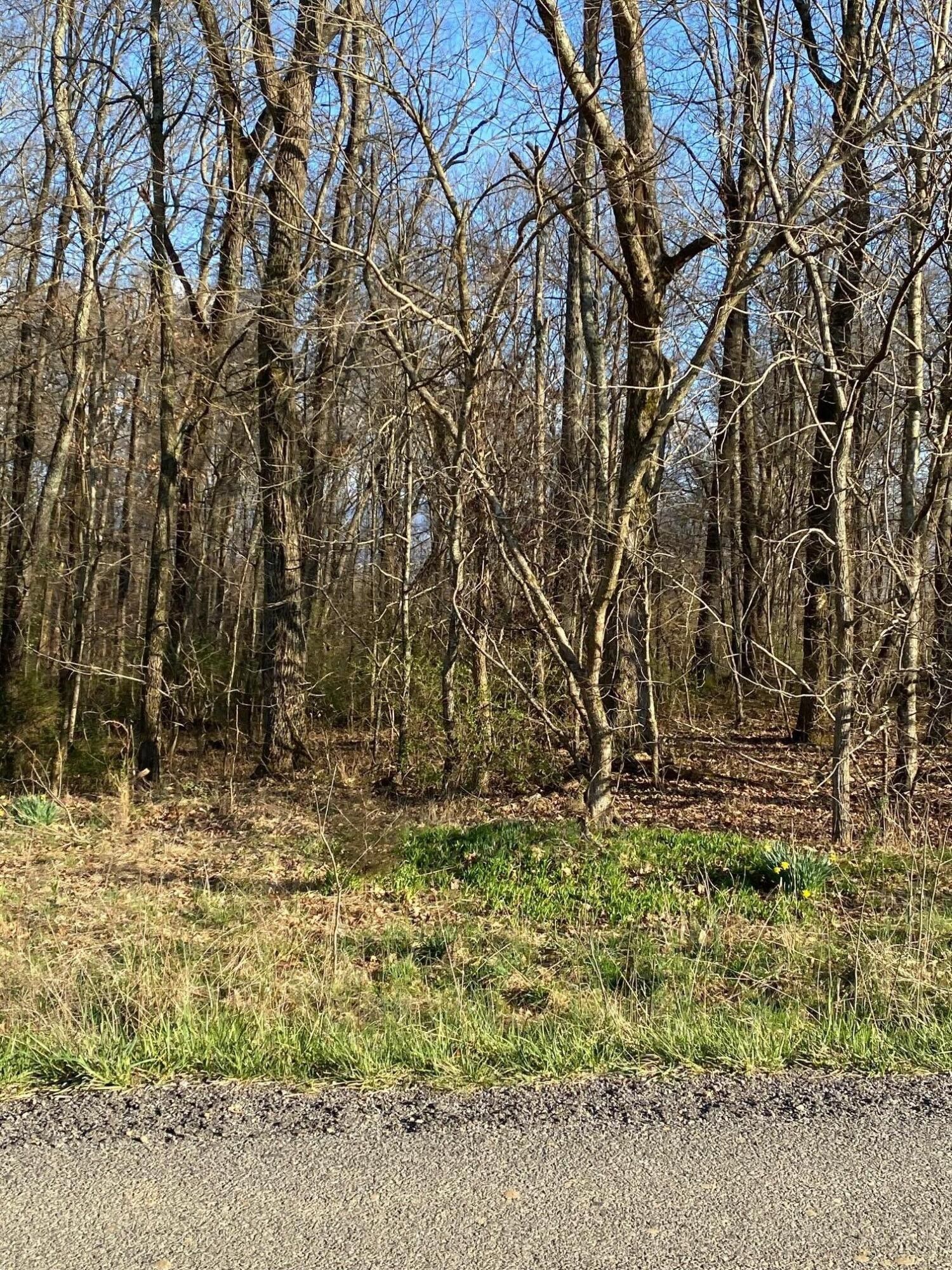 000 Shiloh Road, Greeneville, TN 37745 MLS 9934952 Land and Farm
