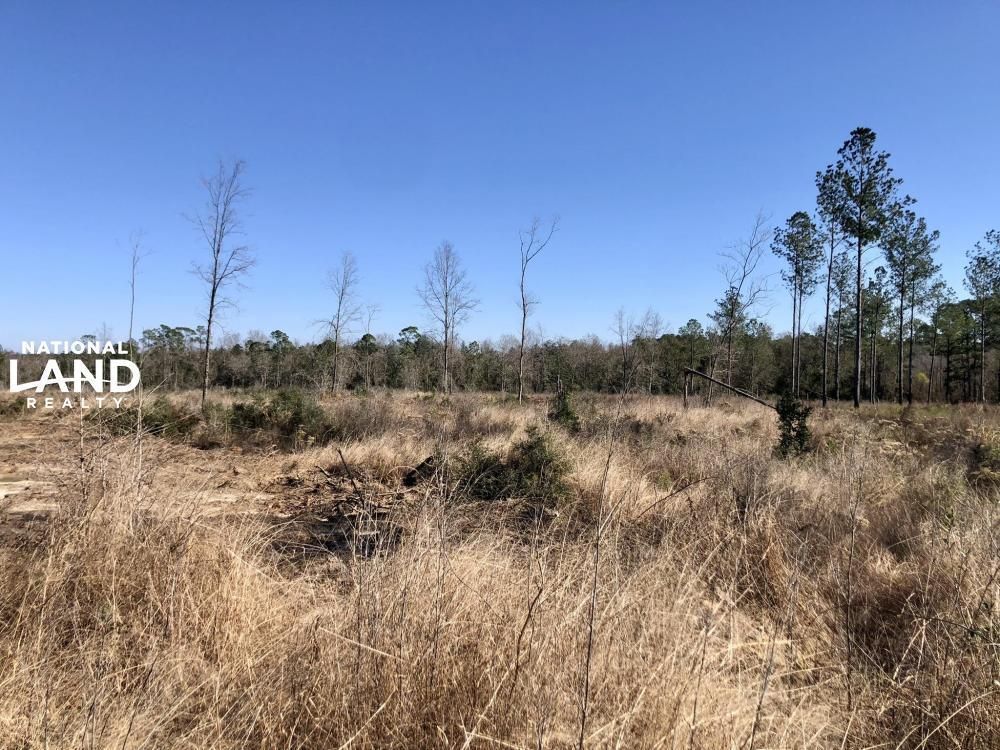 0 County Road 64, Robertsdale, AL 36507 Land and Farm