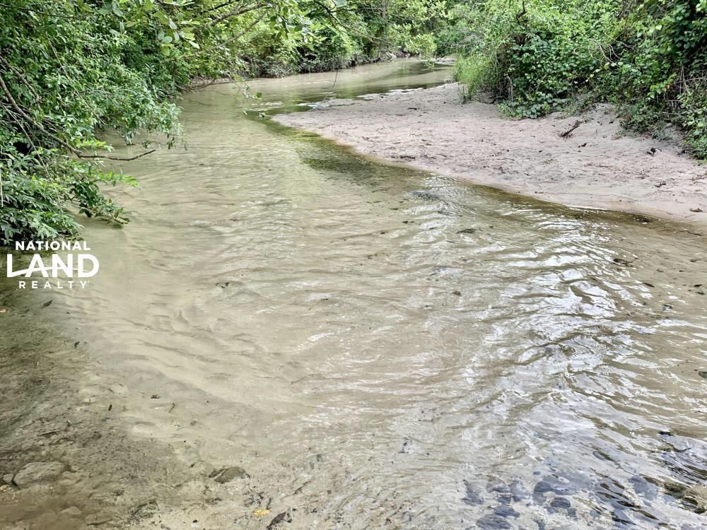 20 Acres, 0 County Road 64, Robertsdale, AL 36507 Land and Farm