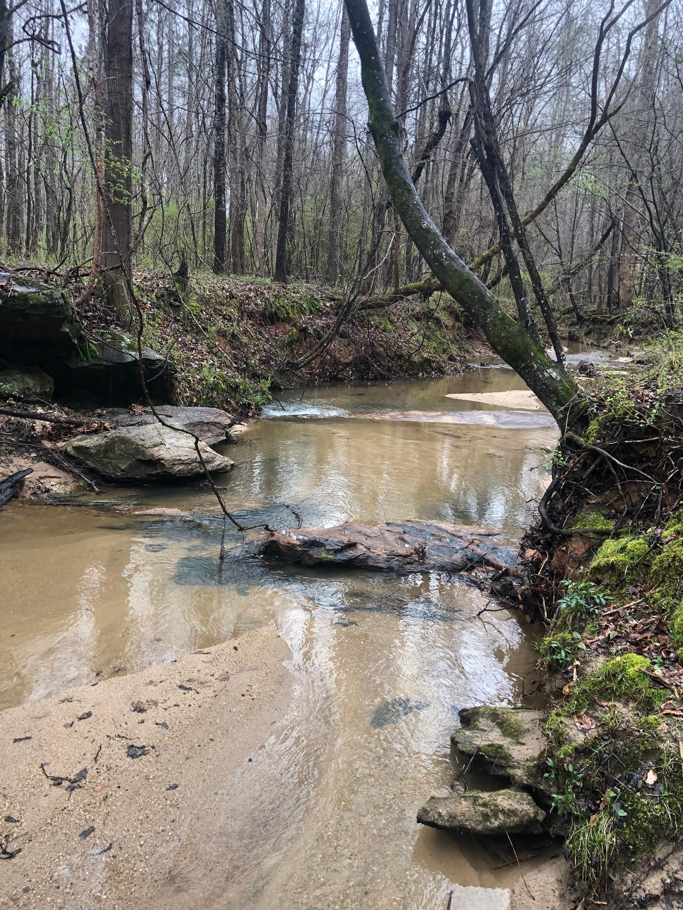 111 Smith Street Ext, Ware Shoals, SC 29692 Land and Farm